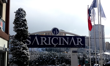 SARIÇINAR